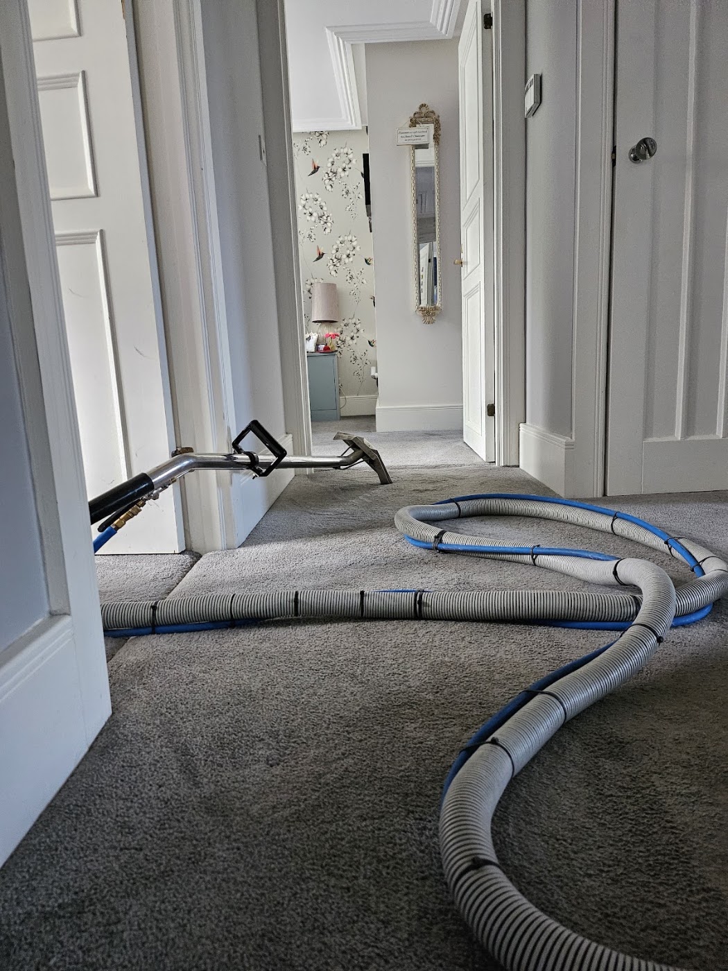 Freshly cleaned grey carpet on a home landing